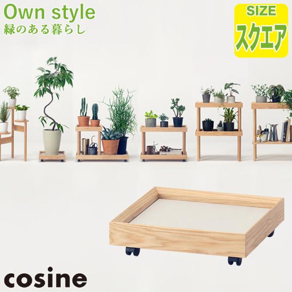 (v[gt) RTC cosine vg[o[ XNGA GP-03CT Ƌ ϗtA LX^[t