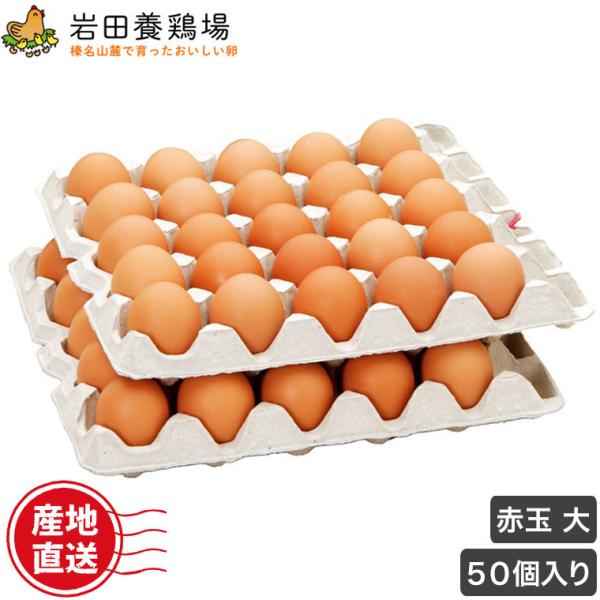 (N[)  Y Iԋʑ 50 c{{ ĉ Y Y 