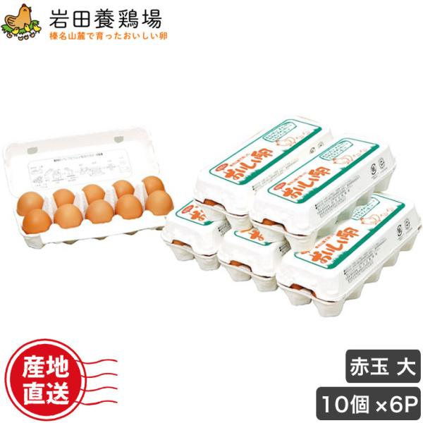 (N[)  Y Iԋʑ 60(10×6pbN) c{{ ĉ Y Y 