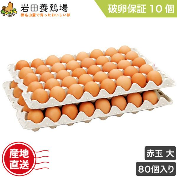 (N[)  Y Iԋʑ 80 jۏ10܂ c{{ ĉ Y Y 