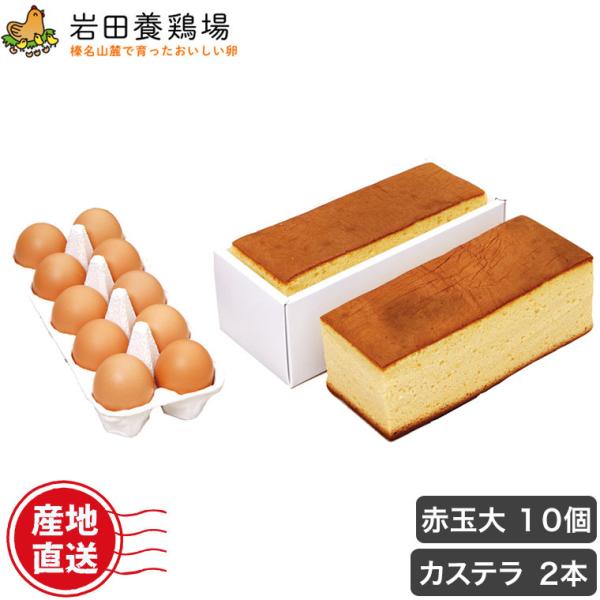 (N[) JXe 2{ Iԋʑ 10 lߍ킹  c{{ ĉ Y Y 