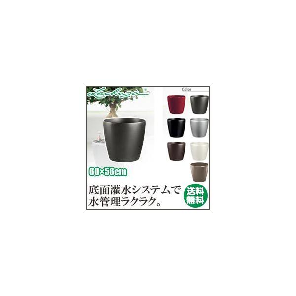 LECHUZA v^[ NVR60 LE-1060W-1 LECHUZA ʋ ʟ 