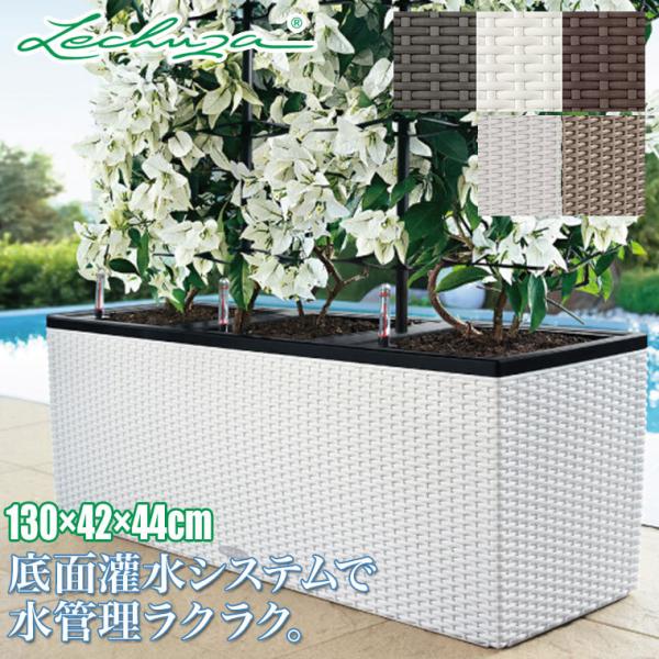 `[U v^[ Re[WEgI40 LE-6640 LECHUZA ʋ ʟ 