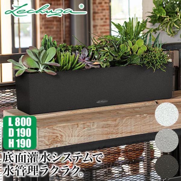 v^[ `[U oRlEXg[ 80 LE-7280 LECHUZA ʋ ʟ 