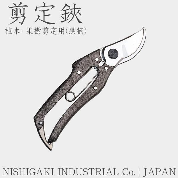 NISHIGAKI (jVKL)  A؁Eʎp() ͂ nT~ N-202 
