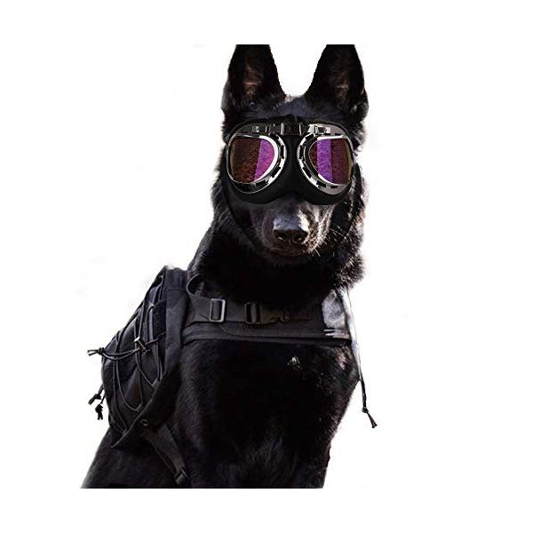 大型犬サングラス 総合 Favofavoitems