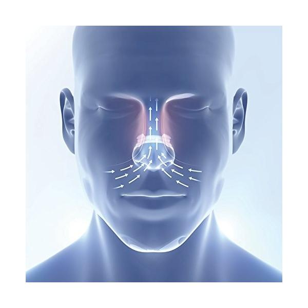 ブリーズライト ラージサイズ 肌色 10枚入 メーカー公式 いびき軽減 鼻孔拡張テープ 快眠