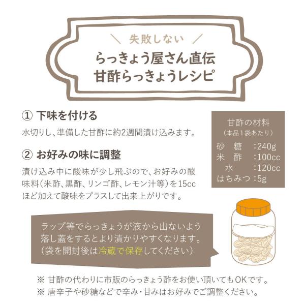 新商品 宮崎県産 おうちで漬ける 手づくりらっきょう500g 下処理済み 洗いらっきょう ゆうパケット対応 代引き不可 出荷目安 1 2週間 Buyee Buyee 日本の通販商品 オークションの代理入札 代理購入