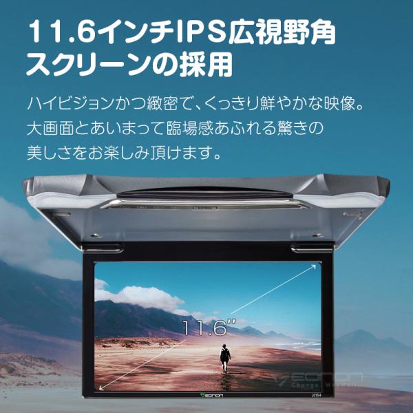 sunbobo-jp_l0146m_3_d_20240911194037