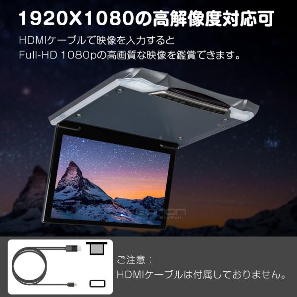 sunbobo-jp_l0146m_5_d_20240911194050