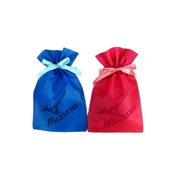 ~Ym bsOobO(STCY)/bsO(PƍwsijMBAG-MINI