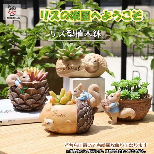 植木鉢 リス りす 母の日 ガーデニングオブジェ 鉢植え フラワープランター 多肉植物　サボテン ミニ プランター おしゃれ 可愛い 送料無料