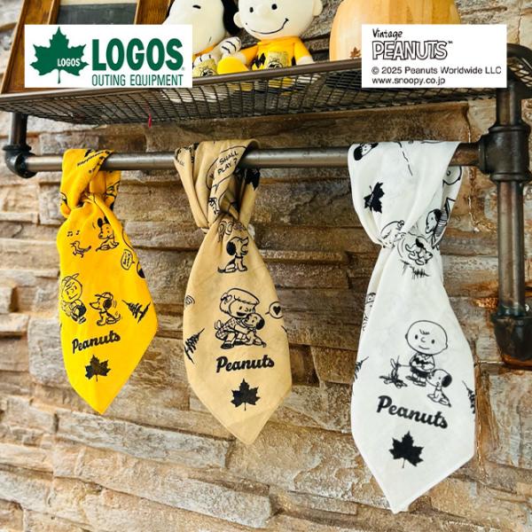 sundaymountain_l19624