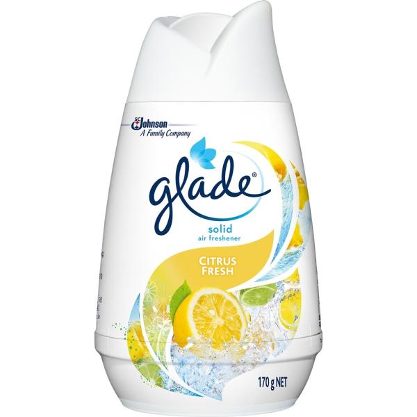 グレード ソリッド エアフレッシュナー シトラスフレッシュ 170g