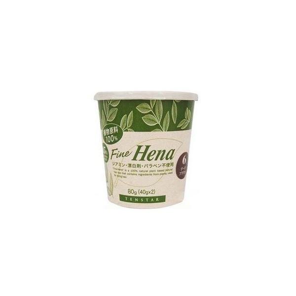 テンスター ファインヘナ ダークブラウン 白髪用 40g×2 TFH-04N