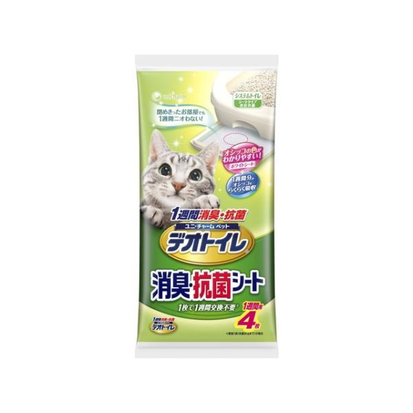 jE`[ 1TԏLERۃfIgCLERۃV[g4y24ZbgiP[X̔jz