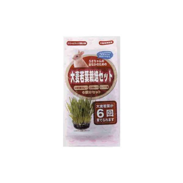 うさちゃんも大満足の大容量、大麦若葉が6回育てられます。うさちゃんのお腹のケアにオススメです。カップと培養土が入った簡単栽培セットだから簡単に大麦若葉を栽培できます。