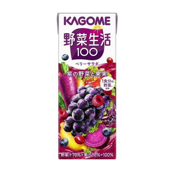 1本に150gの野菜を使用。砂糖・甘味料不使用。