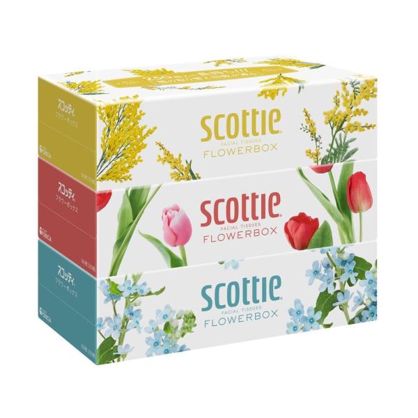 コンパクトな1箱に250組も入っているので、かさばらず、収納にも便利。箱の取り替え回数が減らせる長持ちティシュー。お肌から、ワイパー使いまで日常のあらゆるシーンで使えるスタンダード品質。ミモザ・チューリップ・ブルースターがデザインされたボッ...