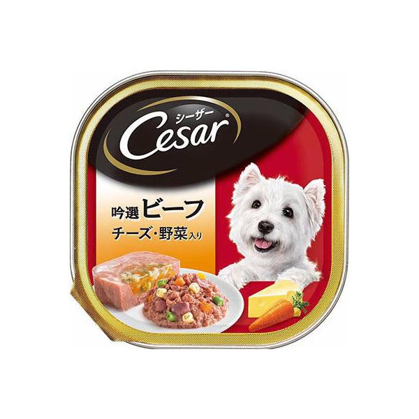 CE28N �V�[�U�[ ��I�r�[�t �`�[�Y�E��ؓ��� 100g