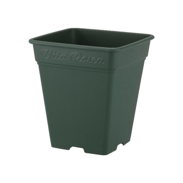 他サイト： アップルウェアー ロゼアスクエア グリーンの商品画像