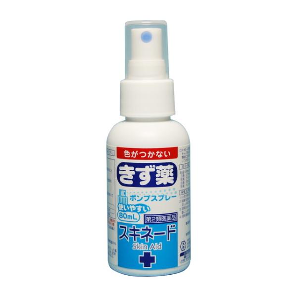 【第2類医薬品】大洋製薬 スキネード 80ml