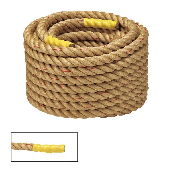 Goj[ EVERNEW EKA776 Fj[vWjA y񂹁z