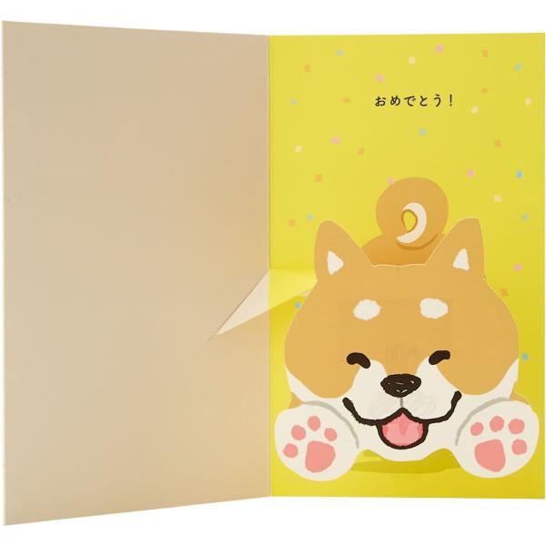 バースデーカード 向かってくる犬 DG3-2 924971 サンリオ sanrio グリーティングカード 誕生日 お祝い 手紙 立体 二つ折り ポップアップ 飛び出す