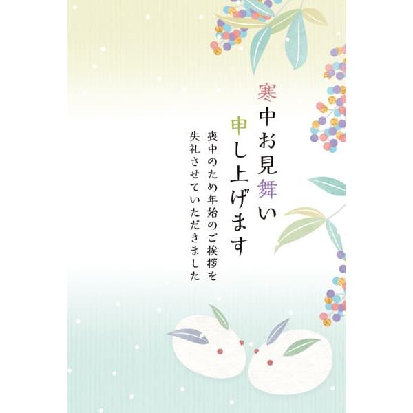 挨拶文入りなので、一言添えたり差出人を書くだけで送れる寒中ハガキです。服喪中の文章入り。寒中はがきは、松の内(1/1〜1/7)が明けてから立春(2/3頃)までに送る挨拶状です。出す相手や自分が喪中の場合、喪中と知らずに年賀状をくださった相手...