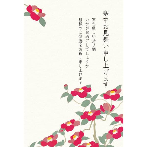余ったら来年も使えるデザインの寒中ハガキです。挨拶文入りなので、一言添えたり差出人を書くだけで送れます。寒中はがきは、松の内(1/1〜1/7)が明けてから立春(2/3頃)までに送る挨拶状です。出す相手や自分が喪中の場合、喪中と知らずに年賀状...