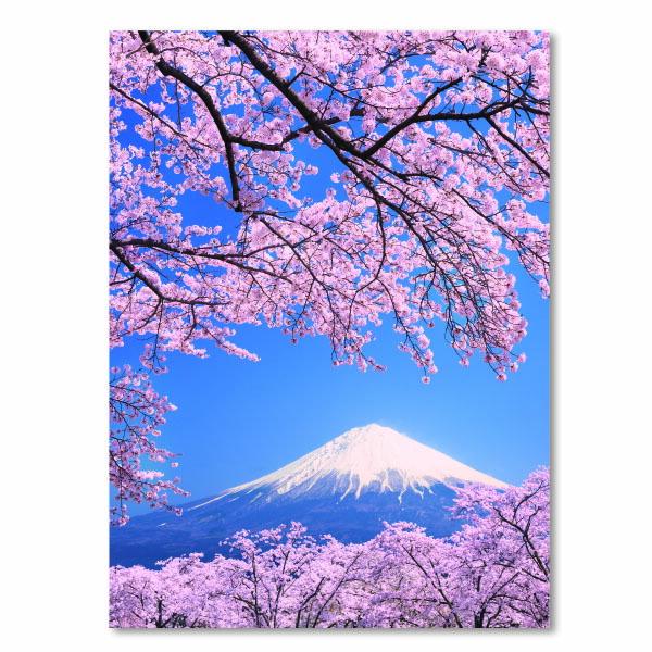 春カード サクラ3Dポストカード 桜と富士山 PN1127 イーズプロダクツ