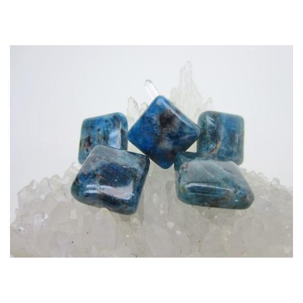 sunflower-shop_apa-t1