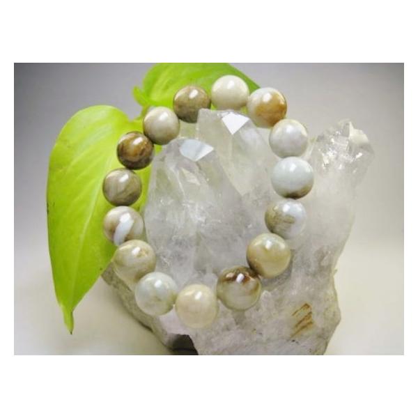 sunflower-shop_cjad-10