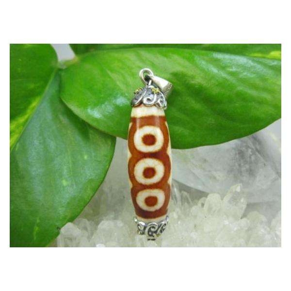 sunflower-shop_ptt0158