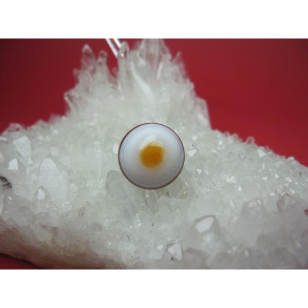 チベット高級天珠 羊眼板珠 天眼珠 約14×11mm 一点物 : 天然石のお店
