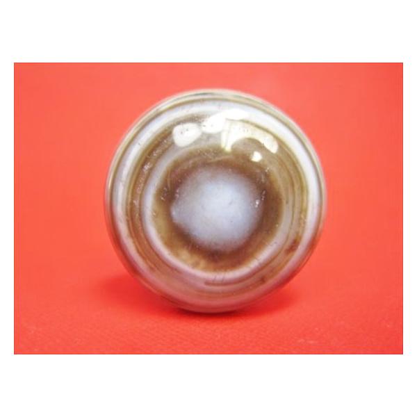 チベット高級天珠 羊眼板珠 天眼珠 約33×19mm 一点物 : 天然石のお店