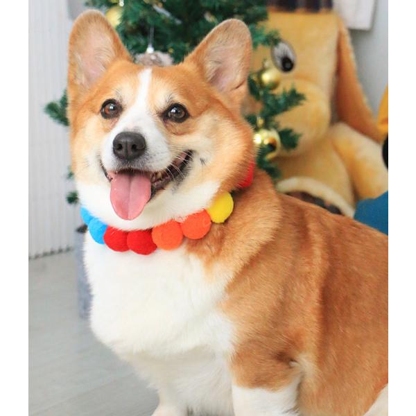 イヌ ペット チョーカー かわいい 花 イベント おめかし 外出 装飾 写真撮影 インスタ tiktok SNS おしゃれ 愛犬 シバ