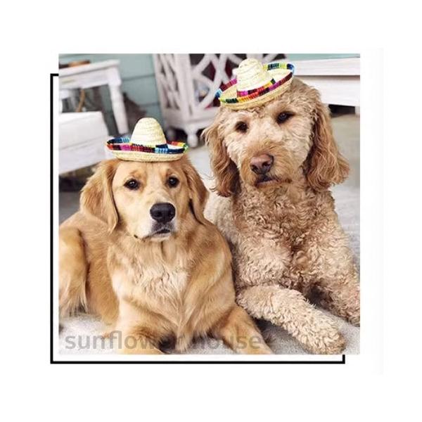 ペット 麦わら帽子 メキシカン 春 夏 軽量 かわいい 犬 愛犬 小型 黒毛 茶毛 日除け 熱中症 対策 散歩 公園 プール イベント 暑さ対策 送料無料
