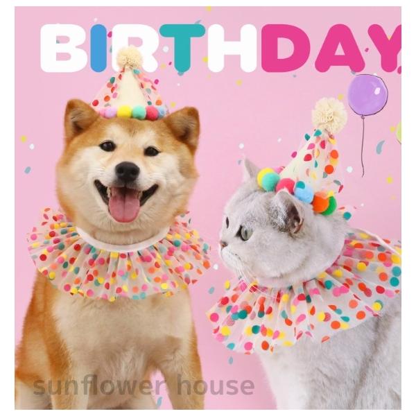 ペット 誕生日 バースデー 帽子 よだれかけ 水玉 レース 犬 猫 帽子セット ハロウィン イベント かわいい うちの子 記念日 プレゼント 華やか 軽量 調節可能