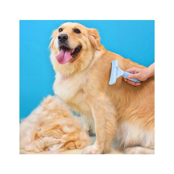 大型犬コーム 中型犬コーム 愛犬用ブラシ カーブ型ブラシ ゴールデンレトリバー 効率的 カラフル 軽量 ペットムダ毛 愛犬抜け毛 簡単 掃除ラク 犬長い毛