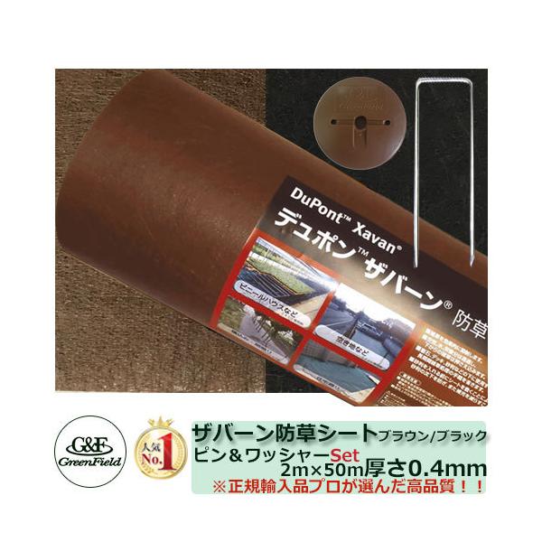 hV[g vebNX 125BB ʏ^Cv TCYF2m×50m sEbV[e100 Uo[hV[g O[tB[h