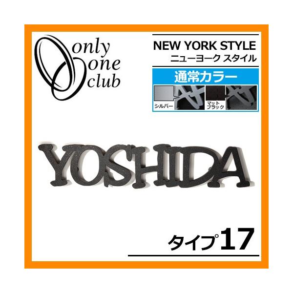 �\�D �A���~�\�D �j���[���[�N�X�^�C�� �^�C�v17 IP1-22-17 �ʏ�J���[ NEW YORK STYLE �I�����[�����N���u