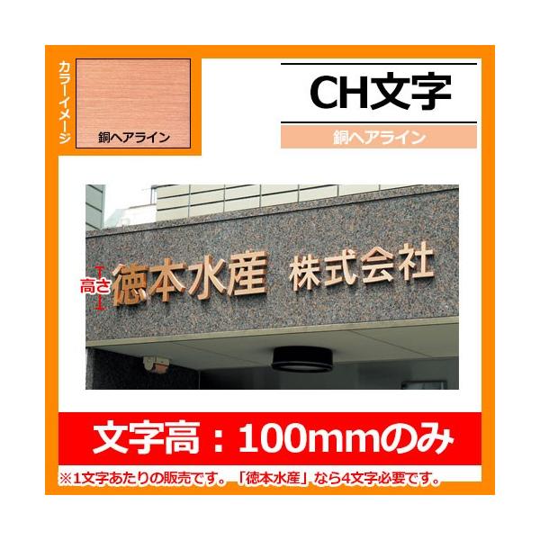 \D ؂蕶\D CH wAC F100mm̂ ێO^JM Ŕ  ̕