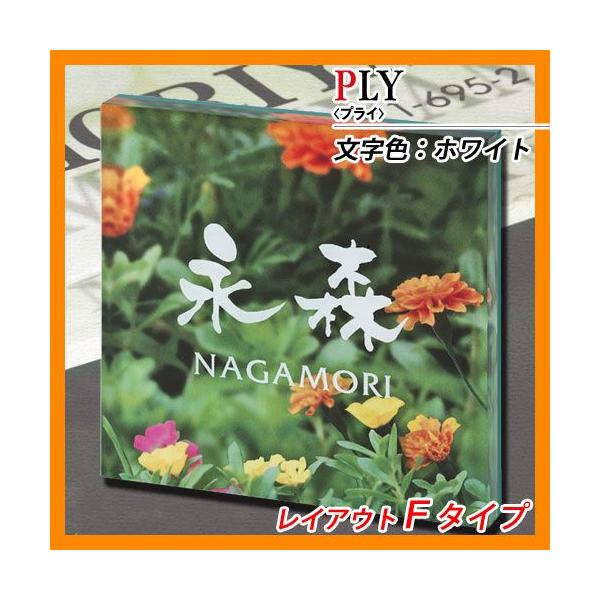 \D AN\D vC CAEgF^Cv AN ێO^JM