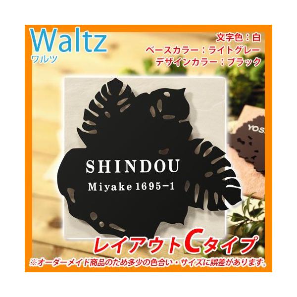 \D XeX ^C R{\D c CAEgC^Cv Waltz WZ-B2-D3 ێO^JM