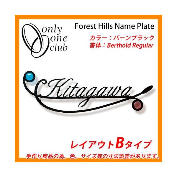 \D ACA\D tHXgqYl[v[g JWAeCXg KXType53 CAEgB I[Nu NA1-S53BB