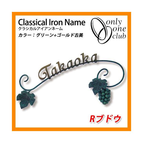 \D ACA\D NVJACAl[ RuhE bS I[Nu