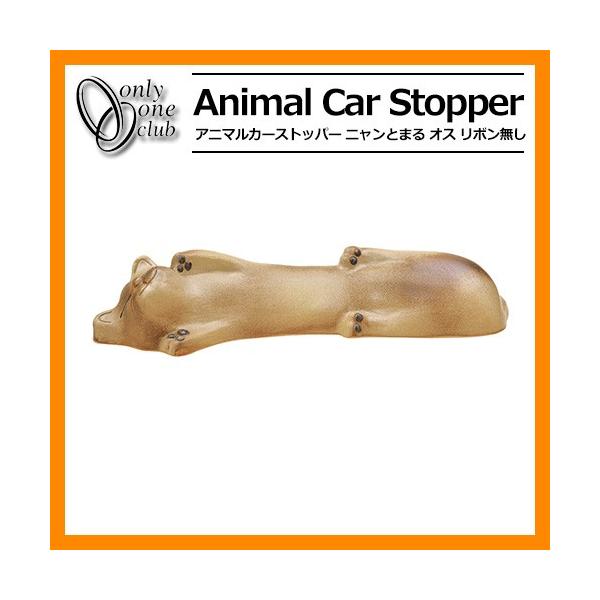 ԏpi J[Xgbp[ Aj}J[Xgbp[ jƂ܂ IX 1̂ fڎʐ^FΐF iԁFMZ2-NT1M I[