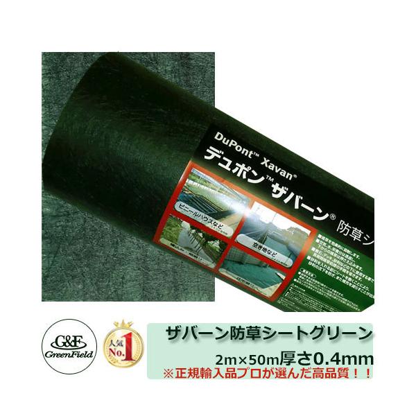 hV[g Uo[hV[g ʏ^Cv 136O[ TCYF2m×50m yUo[ 136Gz O[tB[h