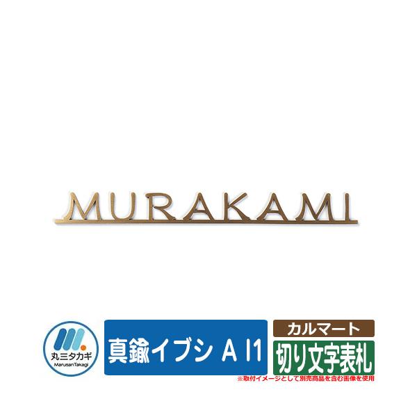 \D  J}[g ^JCuV A I1 CGS IELOGO ێO^JM ؂蕶\D